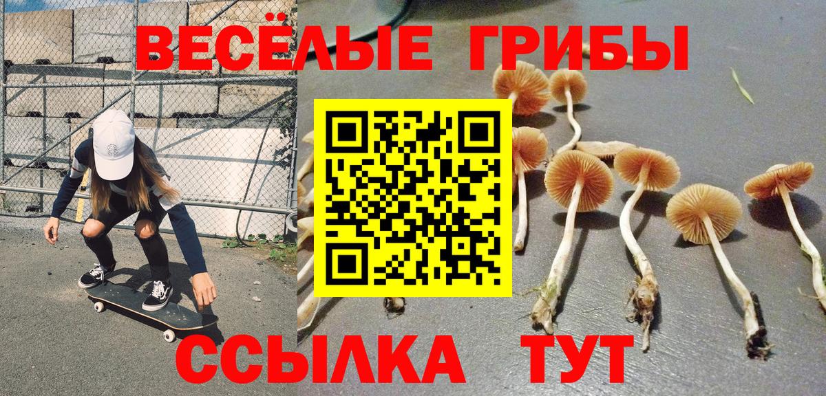 Ливны  Галлюциногенные грибы прущие грибы  Вход с VPN 